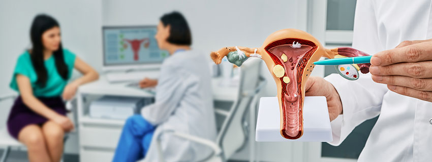 Personalized Treatment Planning & Guidance